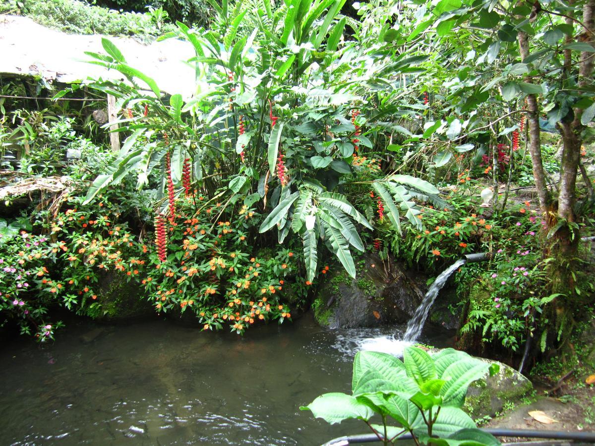 La Cima Del Mundo Lodge *